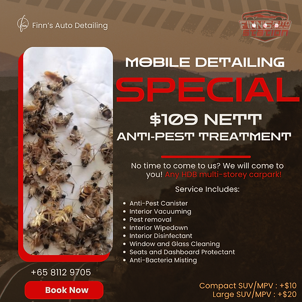 Modern Car Detailing Services Advertising Instagram Post.zip - Finn's Auto Mobile Service