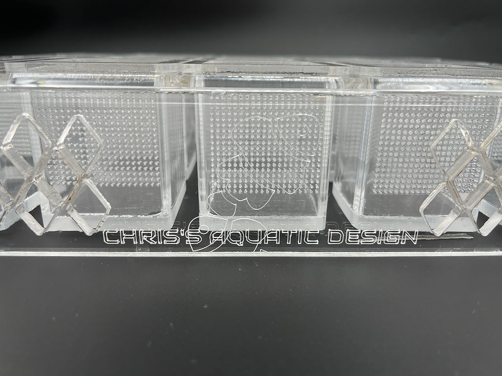 Thumbnail: Zebrafish Specimen Holding Rack