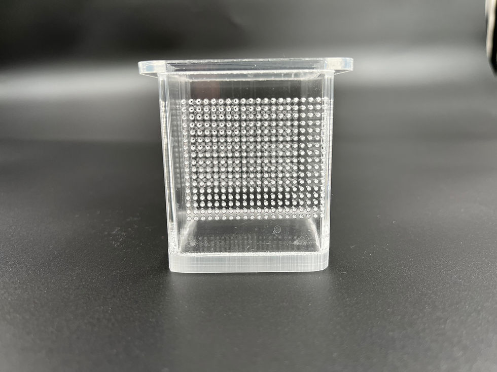 Thumbnail: Zebrafish Specimen Holding Rack