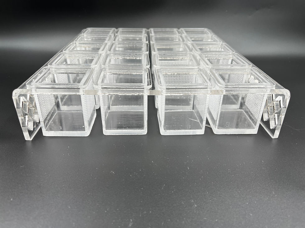 Thumbnail: Zebrafish Specimen Holding Rack