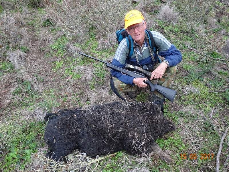 Dal Trophy 80kg boar B