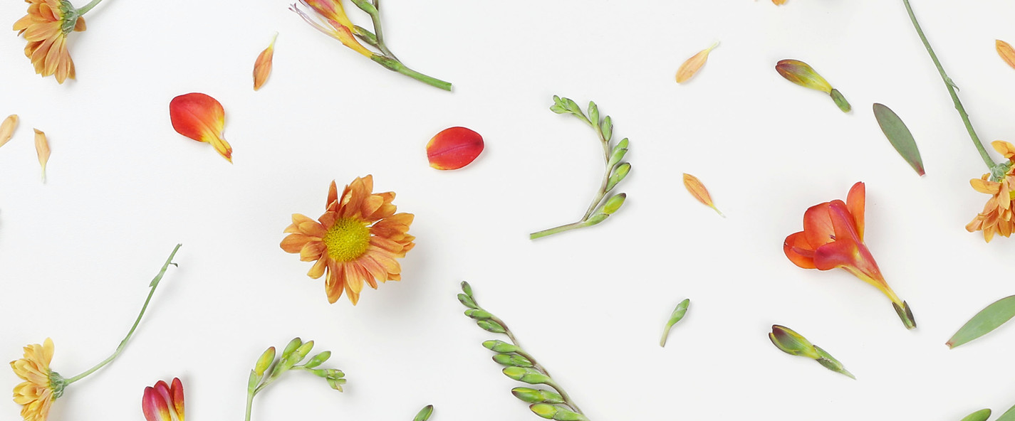 oranje bloemen
