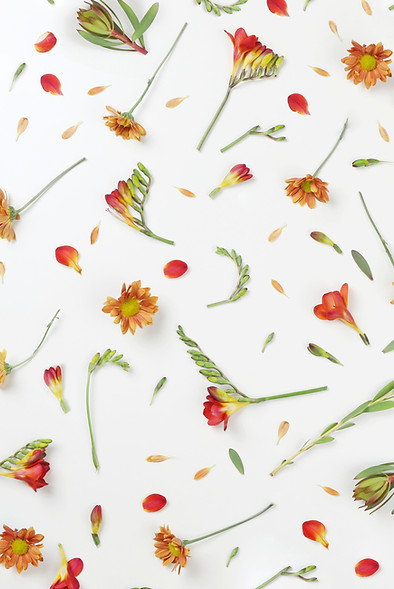 Fleurs d'oranger