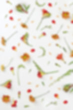 Fleurs d'oranger