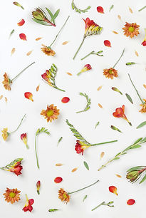 Flower Petal Arrangement