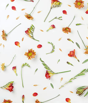 Fleurs d'oranger