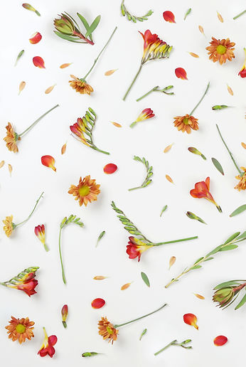 Fleurs d'oranger