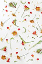 Arreglo de pétalos de flores