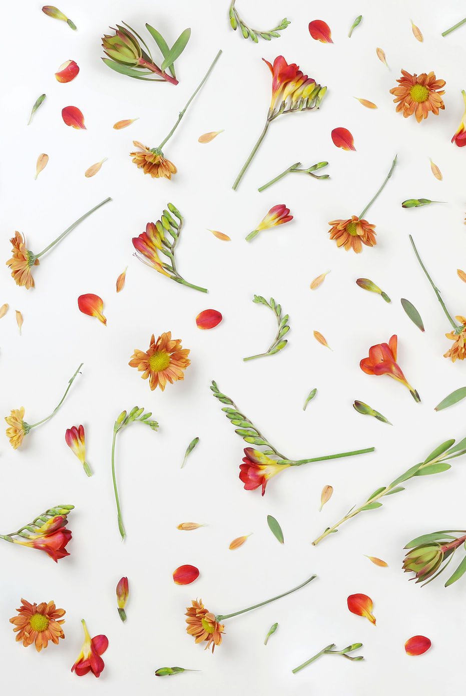 Orangefarbene Blumen
