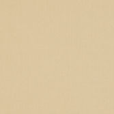 160-02-2_AC_LISO_BEIGE OSCURO HQ.jpg