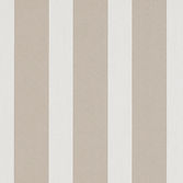 160-908_AC_LISTADO_CANELA HQ.jpg