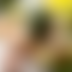 Boost your energy, live longer and supercharge your health