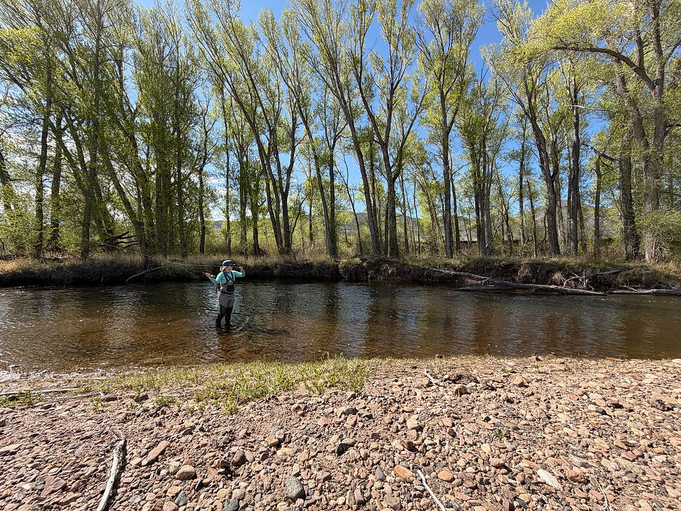 Fishing Report - 5/14/26
