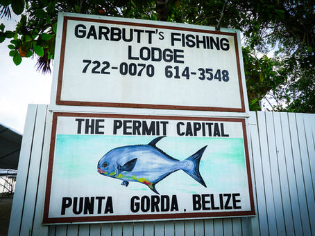 Trip Report - Belize 2025