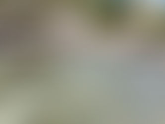 Fishing Report - 4/20/22