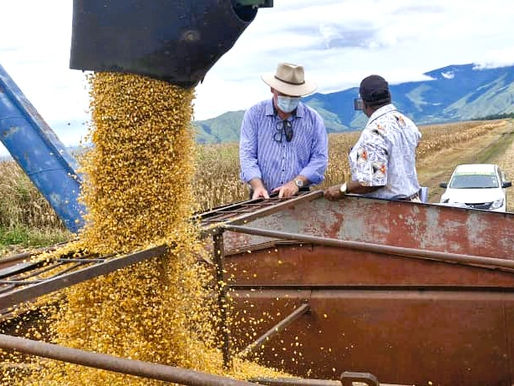 Bridging Agriculture and Innovation: Grow PNG Facilitates Department of Agriculture (DAL) Secretary’s Visit to Markham Valley Farmers