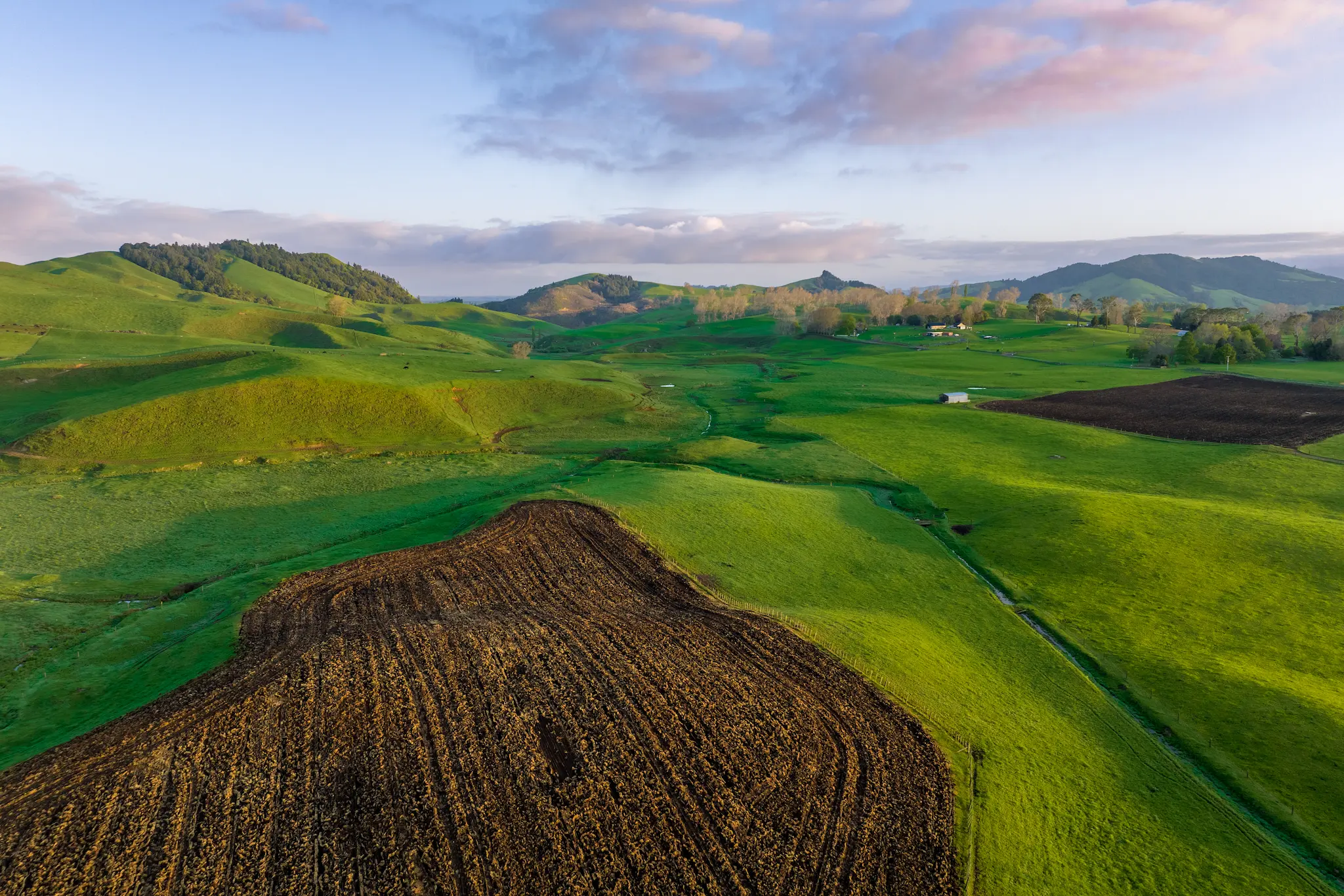 Farm paddock,field,grass, mountain,hils,farm, new zealand