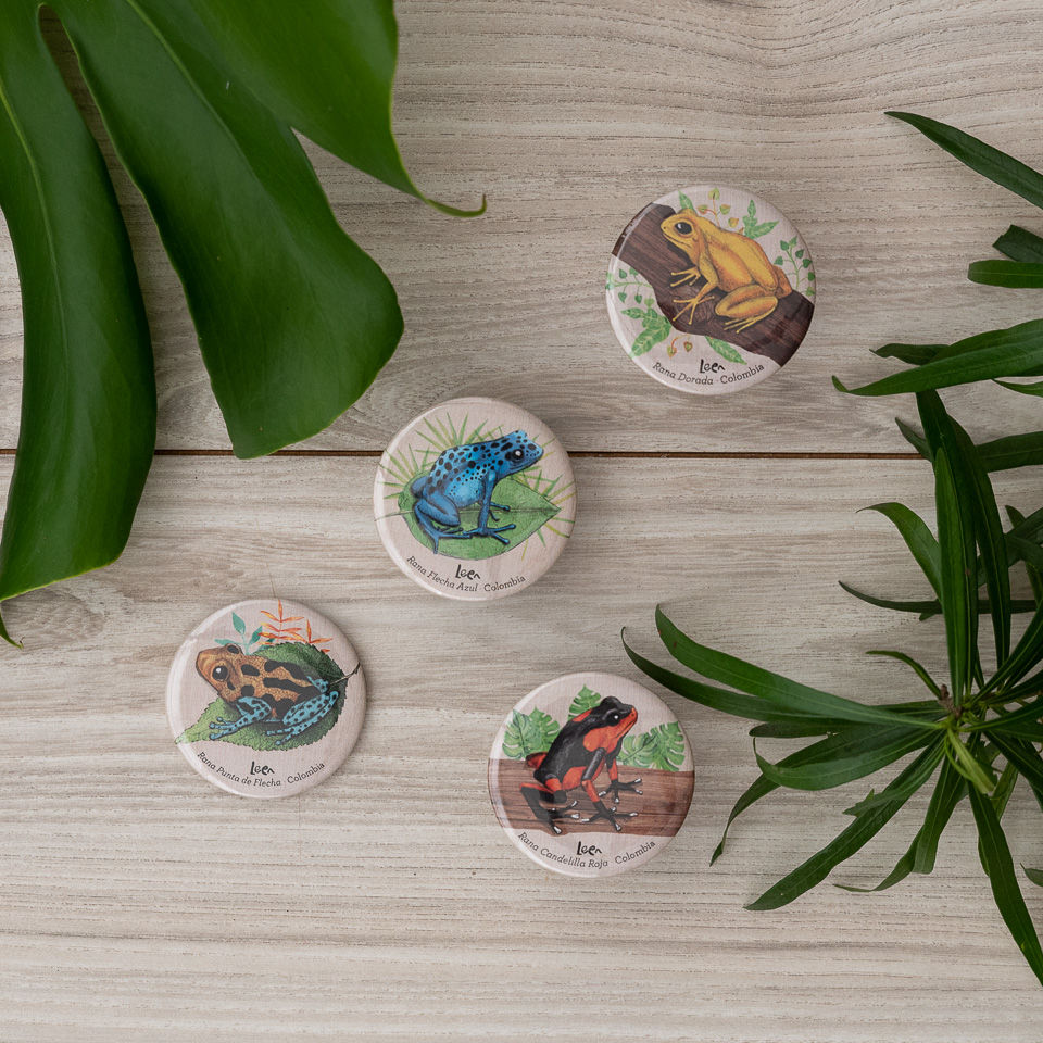 Imanes ilustrados Ranas Colombianas