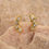 Thumbnail: CZ leafy crawler Gold Stainless Steel Stud earrings