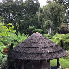 IMG_0724.jpeg