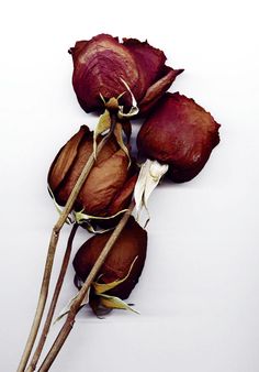 love3