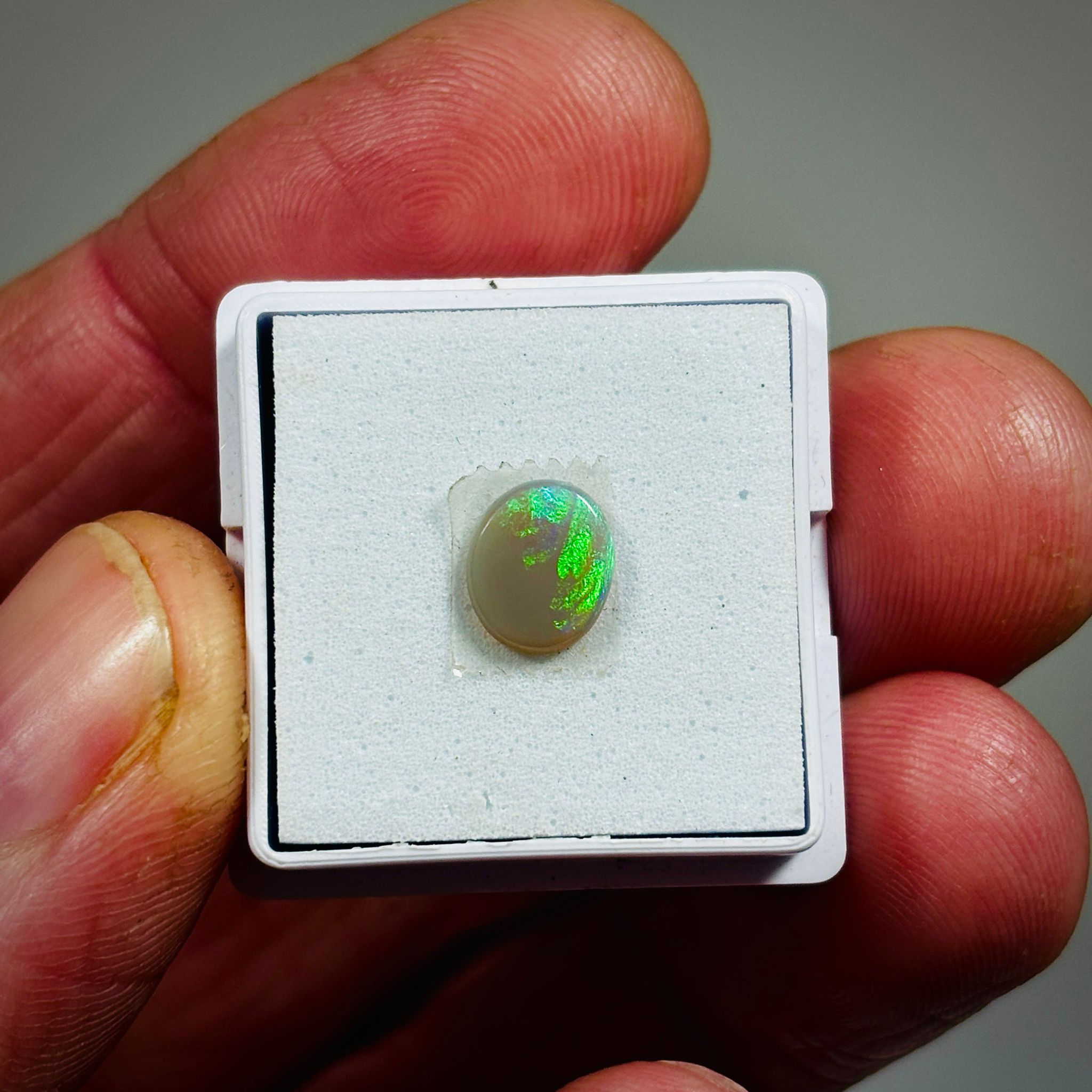 Allens Rise Oval Semi Black Opal 0.55crts - OPL256