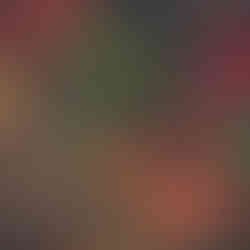 The Beauty of Opal Gemstones: Fire Colour Patterns