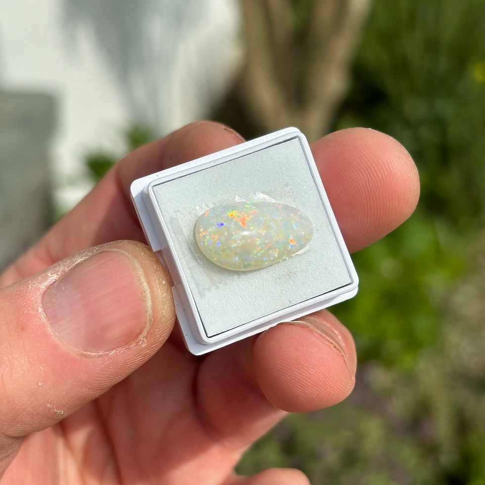 4.35 carat Olympic free form shell fossil opal