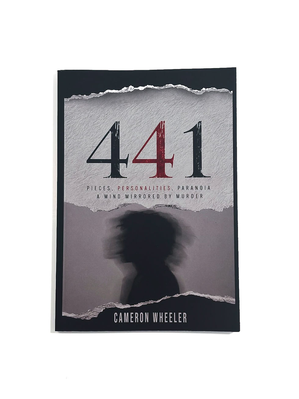 441 book by Cameron Wheeler Kinglet Publishing