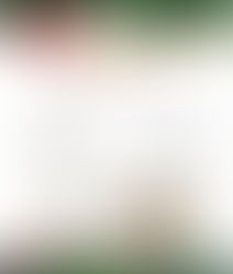 マリッジリングご成約のお客様へ⁡