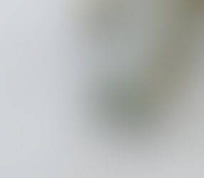 PT900⁡⁡エメラルドリング⁡⁡0.31ct⁡⁡ダイヤモンド⁡⁡0.82ct⁡⁡(RG2353⁡)