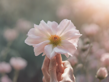 Compassionate Senior Care Solutions in Dallas