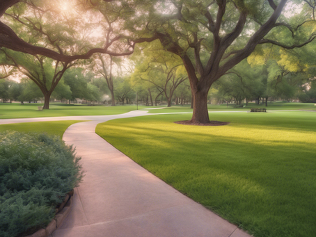 Enhancing Seniors' Quality of Life in Dallas