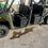 Thumbnail: 2018 Polaris Ranger Crew Diesel