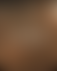 Portada de el palenque de las fiestas de octubre 2025