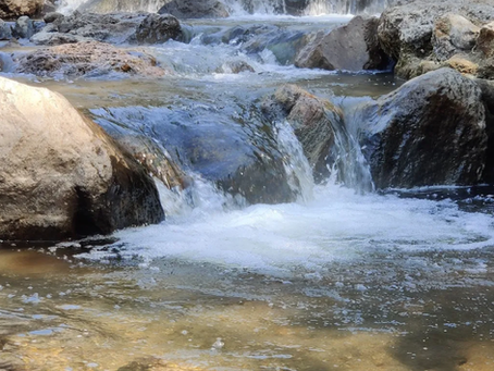 Escapada de Fin de Semana en Río Caliente en el Bosque de la Primavera