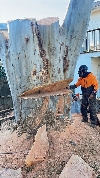 stump-grinding.jpg
