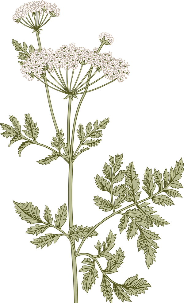 Botany