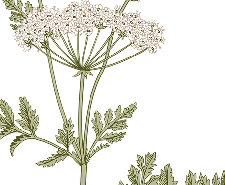 Botany