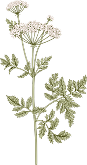 Botany