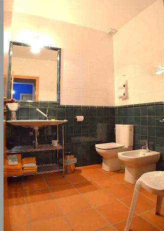 bathroom, toilet, bidet, shower