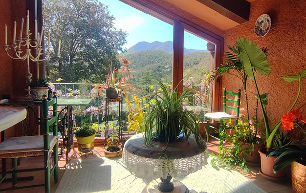 living room - terrace