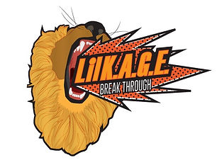 LIL-KAGE LOGO 2.jpg