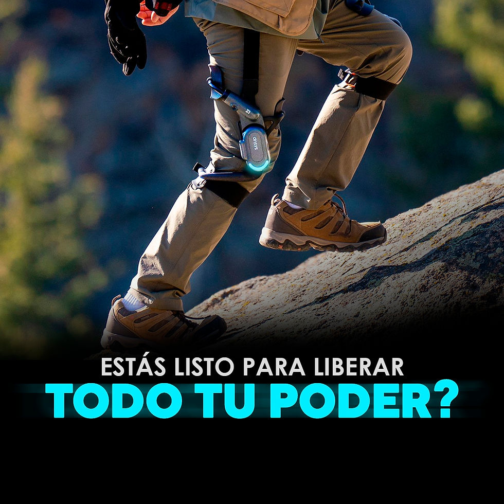 Miniatura: EXOLEG