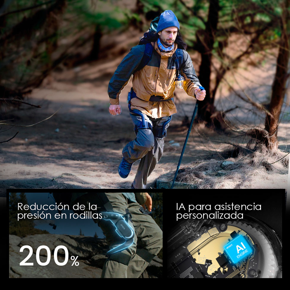 Miniatura: EXOLEG