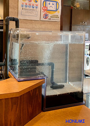 生簀水槽 活魚水槽 業務用水槽 水換え不要の特許技術 京都本社 生簀水槽 活魚水槽 業務用水槽 水換え不要の特許技術 京都本社