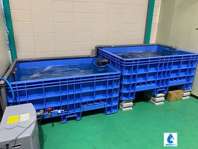 活魚水槽,業務用いけす水槽の製造販売｜水換え不要の特許技術｜HONUMI