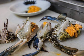 活魚水槽販売,生簀販売,濾過,ろ過装置,ろ過材,ろ過バクテリア,浄化バクテリア,ろ過無し,微生物浄化,HONUMI,ホンマもんの海,スーパーナチュラルシステム