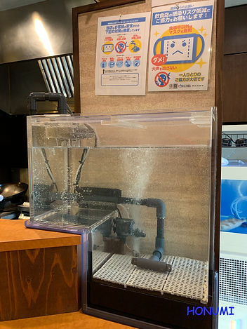 カウンター活魚水槽,カウンター生簀活魚水槽,カウンター水槽,いけす水槽価格,活魚水槽価格,生簀活魚水槽,活魚水槽販売,生簀水槽販売,生簀製造販売,活魚水槽製造販売,業務用水槽,業務用いけす,業務用活魚水槽,活魚水槽設備,信頼できる活魚水槽メーカー,いけす,いけす水槽製造販売,生簀,HONUMI,スーパーナチュラルシステム,水換えのいらない水槽,水換え不要の特許,水交換がない水槽,完全ろ過,完全ろ過水槽,完全ろ過システム,水換え不要半永久,水換え不要半永久水槽の作り方