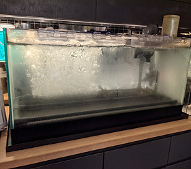 活魚水槽|業務用いけす水槽メーカー|ろ過槽ろ材無し|水換え不要 活魚水槽|業務用いけす水槽メーカー|ろ過槽ろ材無し|水換え不要
